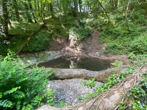  at CaeDai Wilderness Campsite