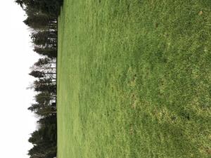 Grass pitches at Herigerbi Park